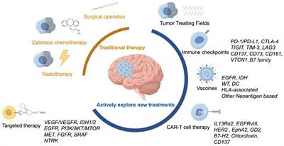 Treatment advances in high-grade gliomas